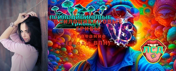 спайс Вязьма
