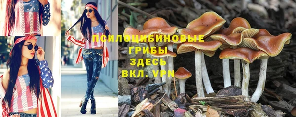 гашишное масло Володарск